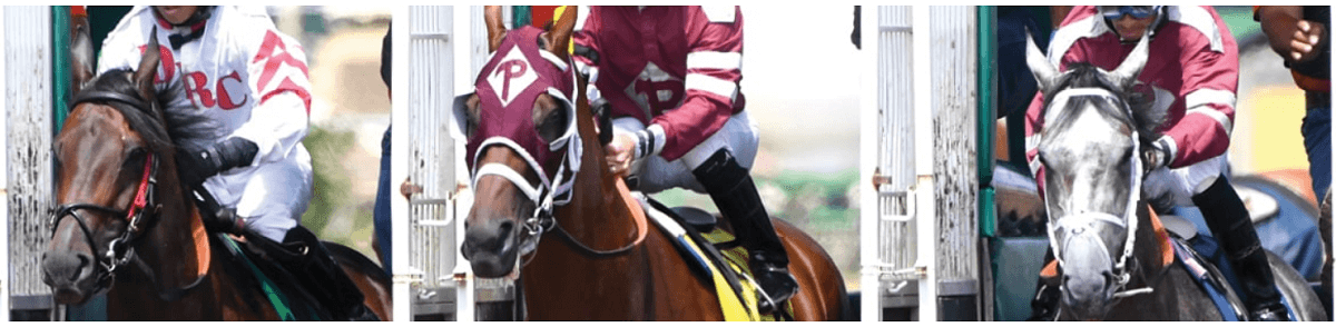 carreras de caballos Iowa
